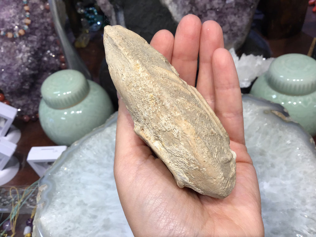 Ancient Judaic pottery oil lamp menorah