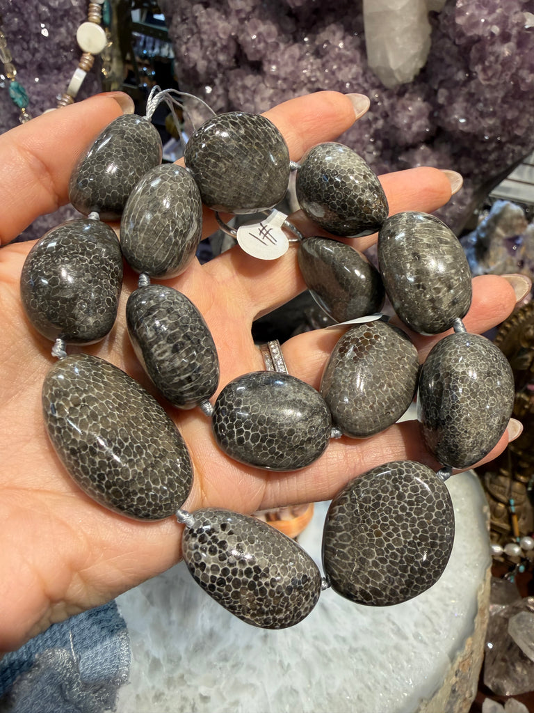 Bryzoan fossil coral 26-31mm nugget #1 Nugget beads