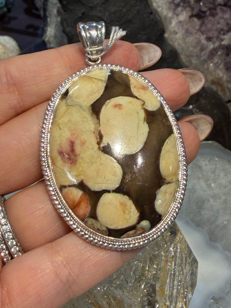 Peanut wood fossil Nepal sterling silver pendant