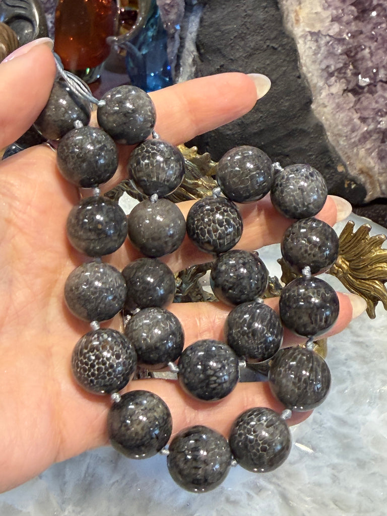 Rare Bryzoan fossil coral 16mm gemstone