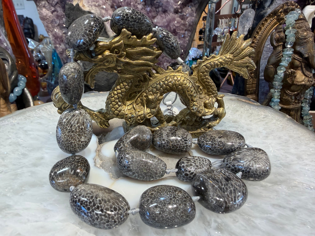 Rare Large Bryzoan fossil coral 19-27mm gemstone