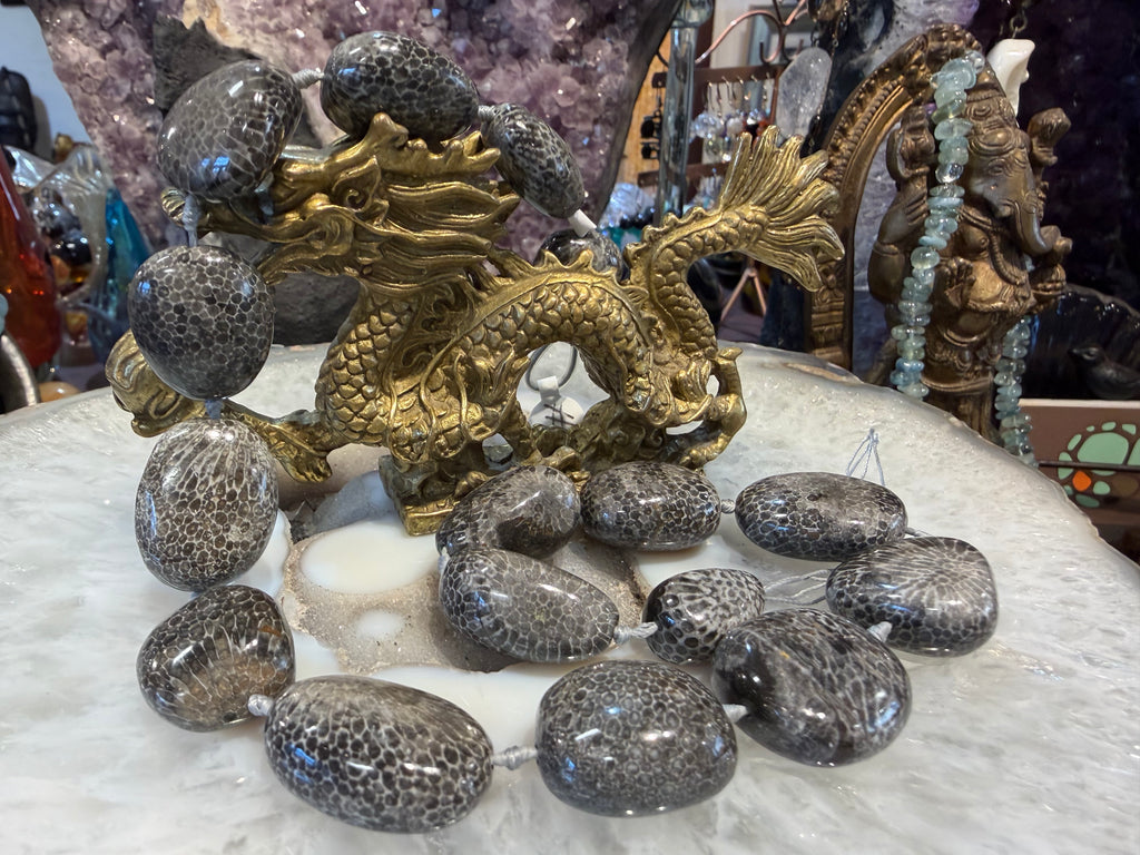 Rare Large Bryzoan fossil coral 19-27mm gemstone