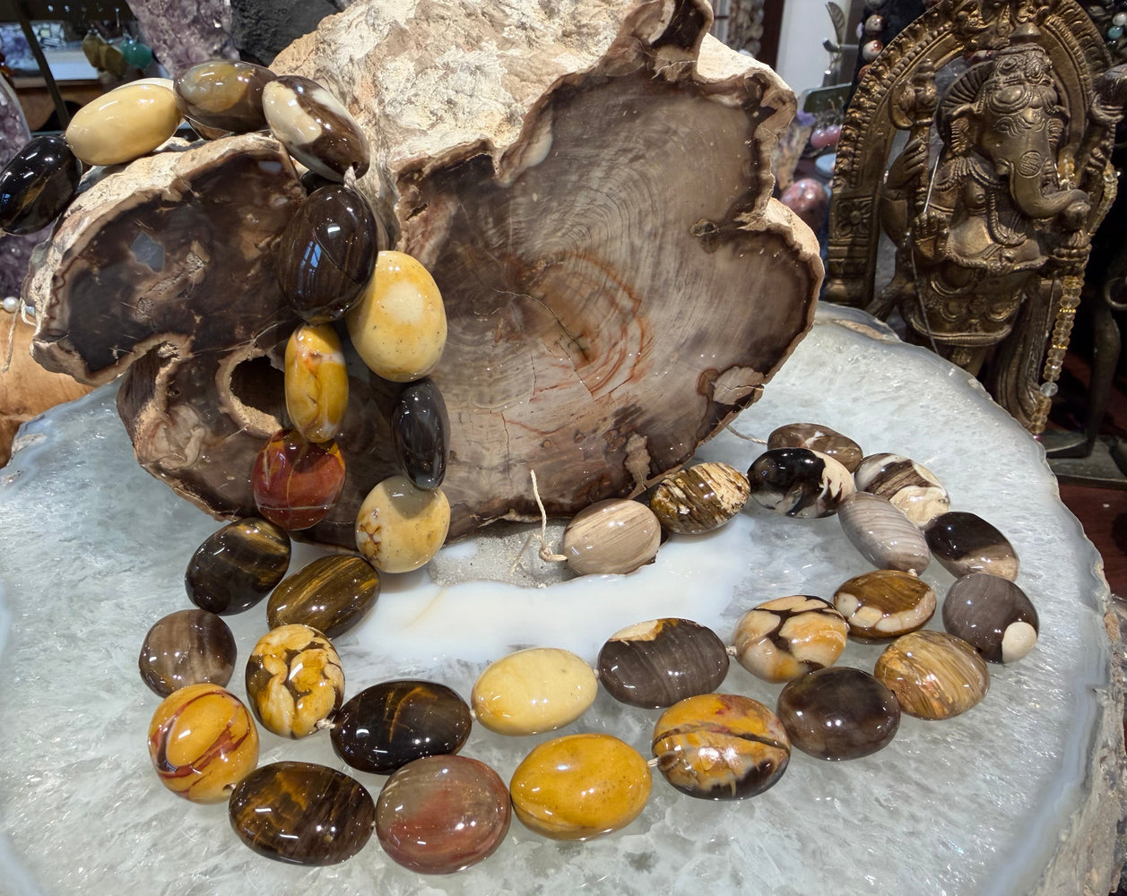 Peanut Wood Fossil Oval Gemstone Beads