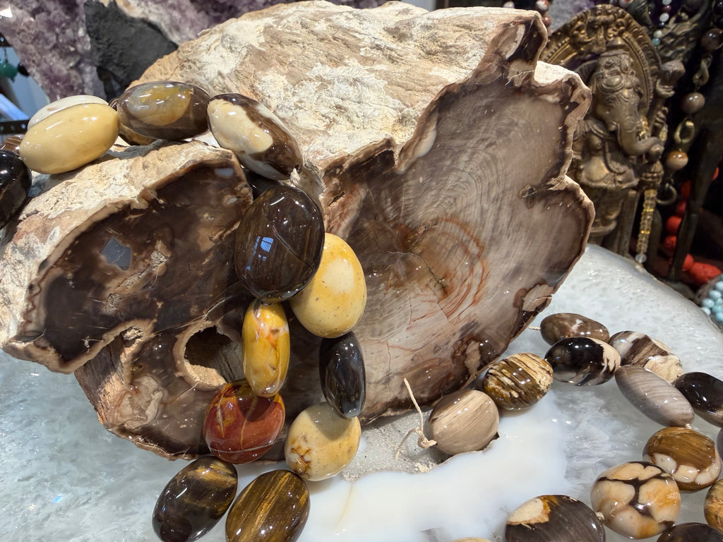 Peanut Wood Fossil Oval Gemstone Beads