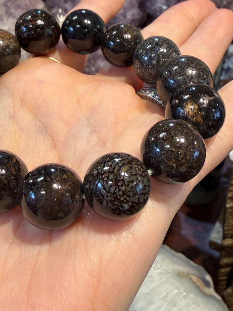 Rare fossilized dinosaur bone 15mm gemstone bracelet