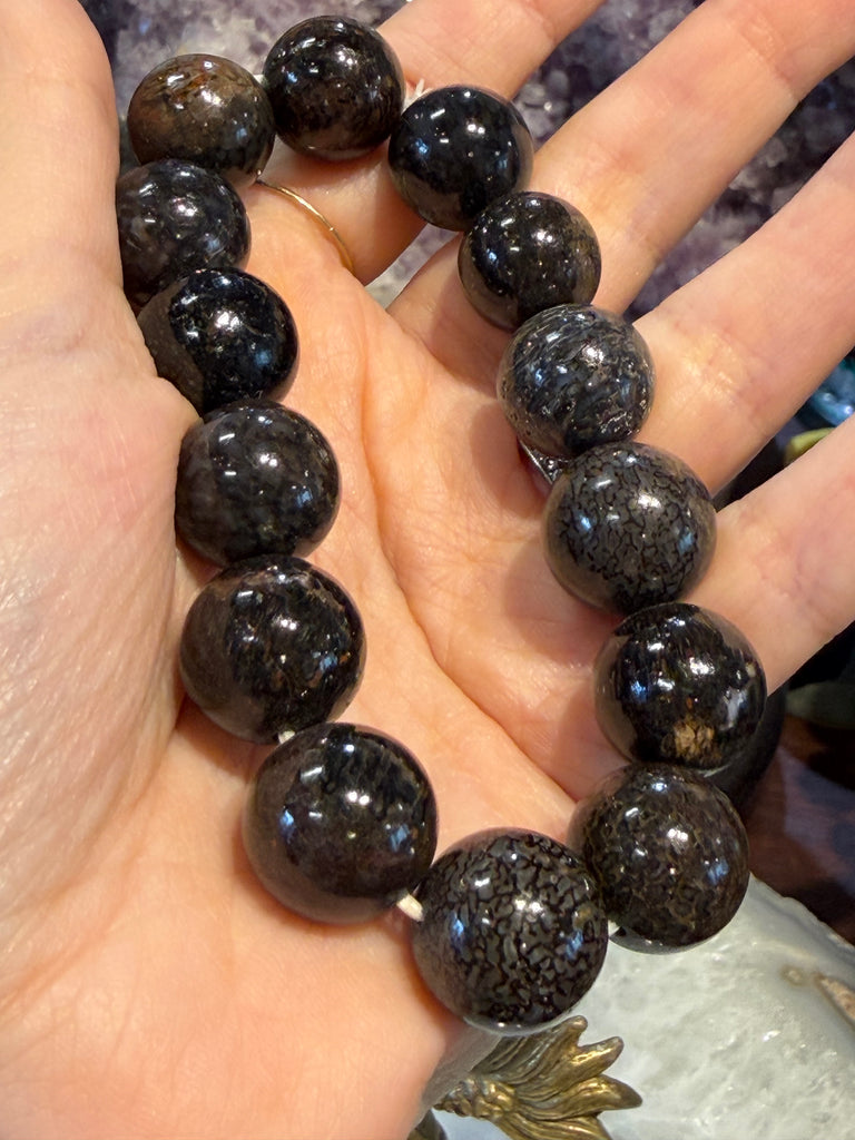 Rare fossilized dinosaur bone 15mm gemstone bracelet