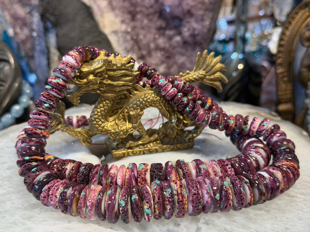 Amazing Large purple spiny oyster with turquoise graduated 9-20mm shell