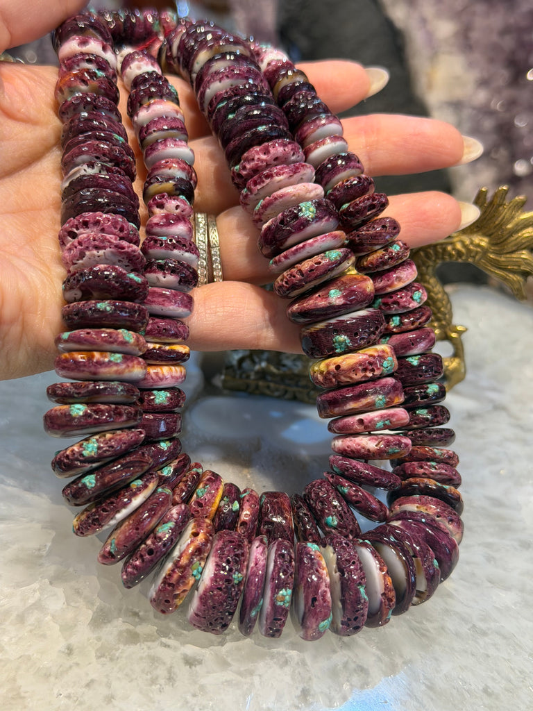 Amazing Large purple spiny oyster with turquoise graduated 9-20mm shell