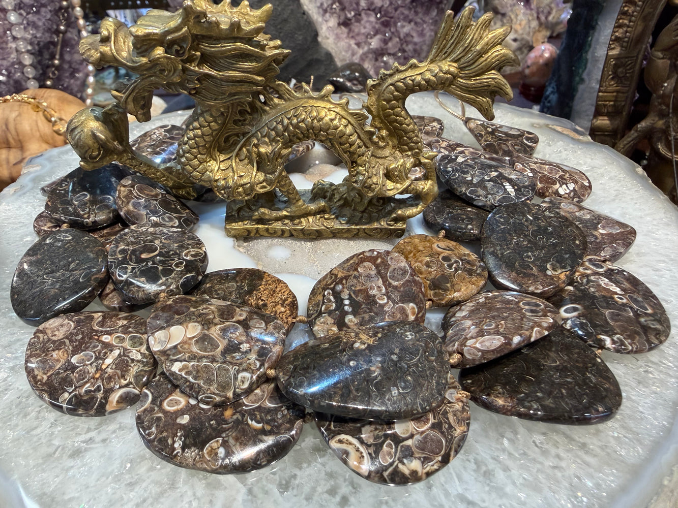 Turritella fossil wave slice 30mm gemstone beads