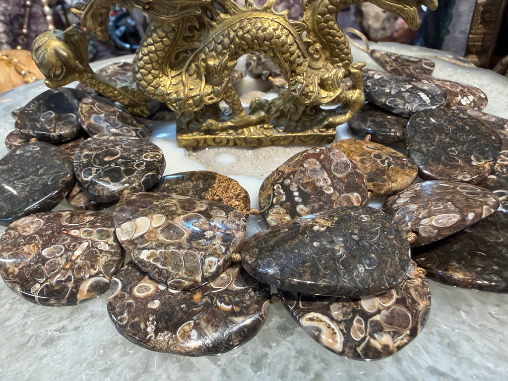 Turritella fossil wave slice 30mm gemstone