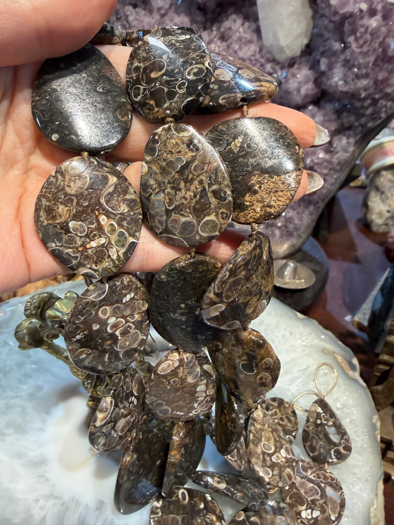 Turritella fossil wave slice 30mm gemstone