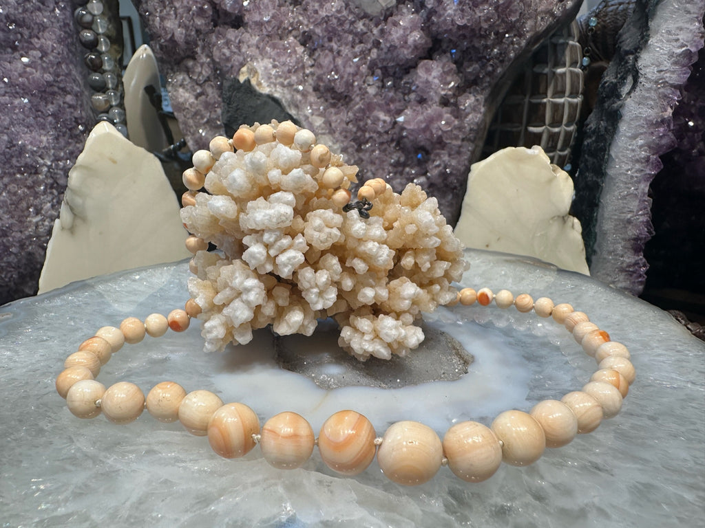 Vintage Chinese Export Old Round Shell Necklace