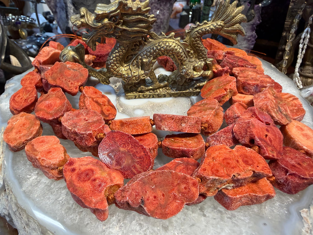 Sponge coral 25-30mm slices beads