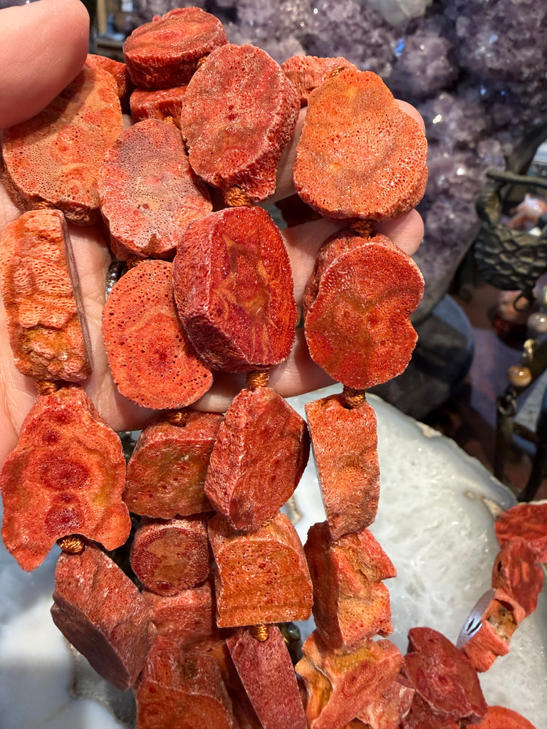 Sponge coral 25-30mm slices beads