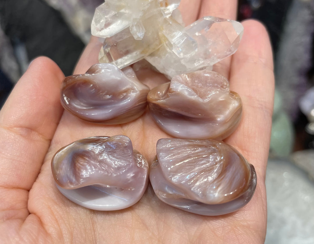 4 Natural pink conch 28mm focal bead gemstones