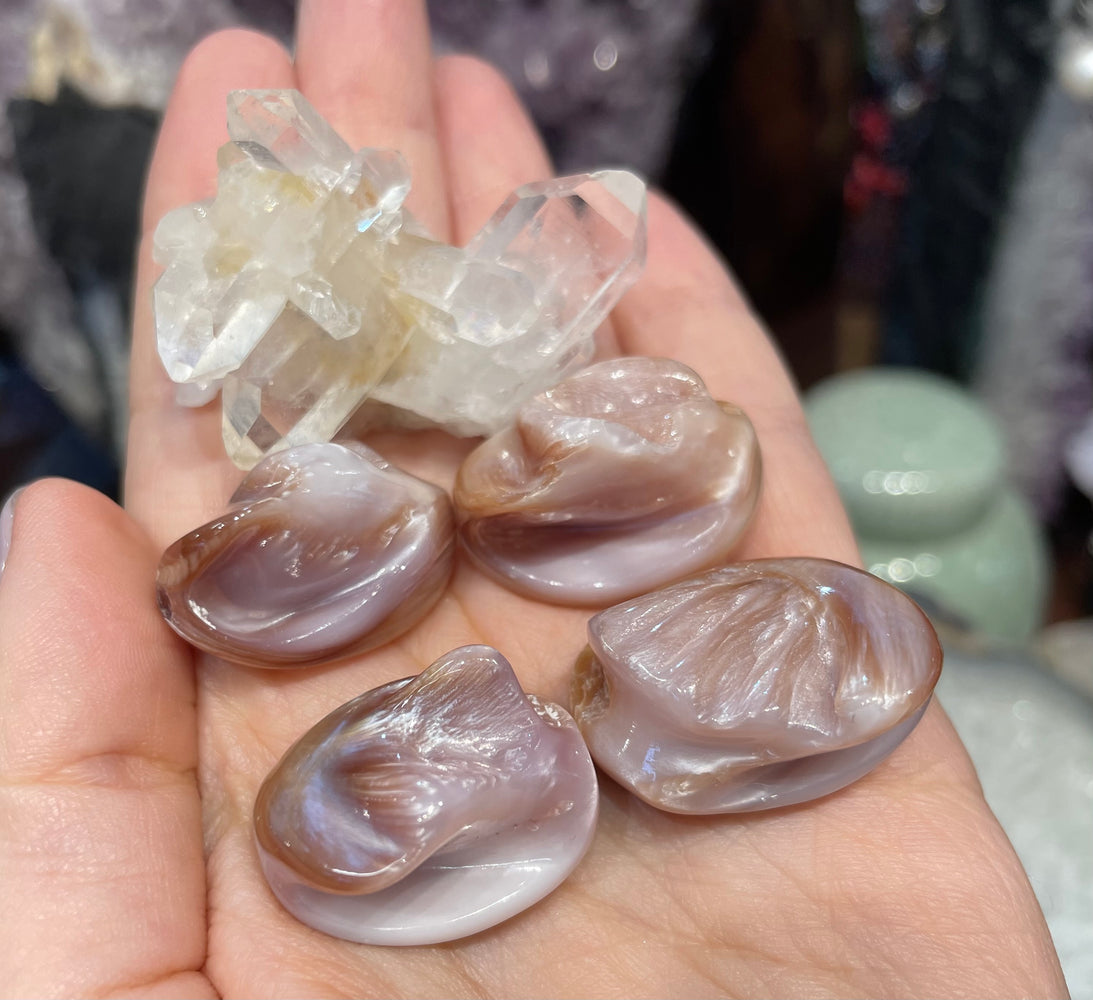 4 Natural pink conch 28mm focal bead gemstones