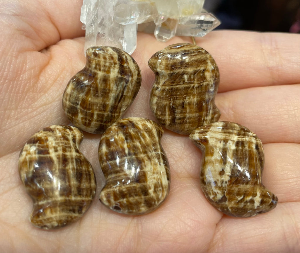 5 pieces brown aragonite swirl 23mm focal bead gemstones beads