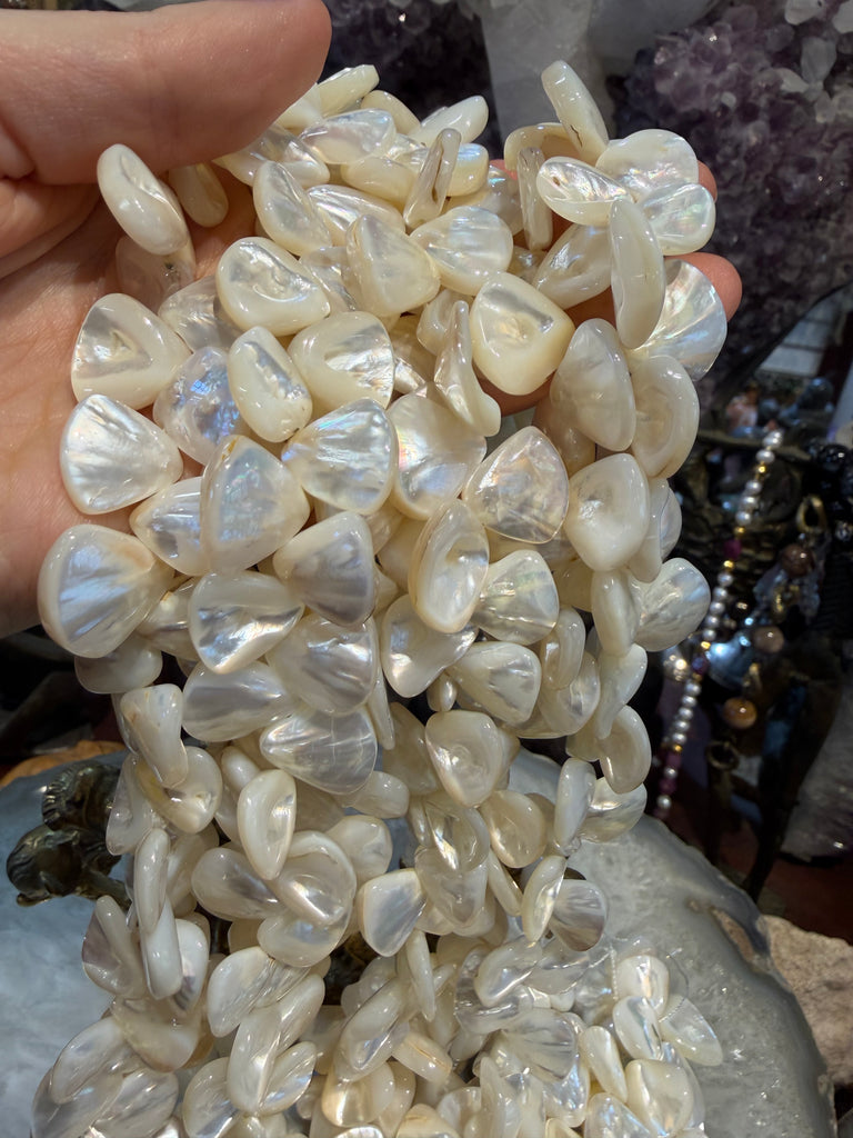 Superb Mother of pearl 13mm teardop shells beads