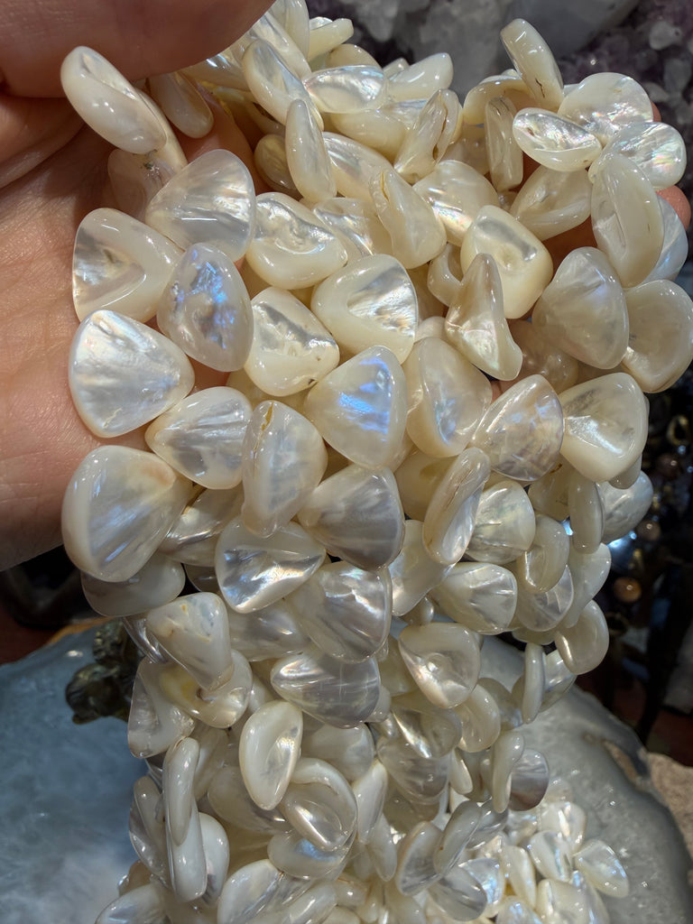 Superb Mother of pearl 13mm teardop shells beads