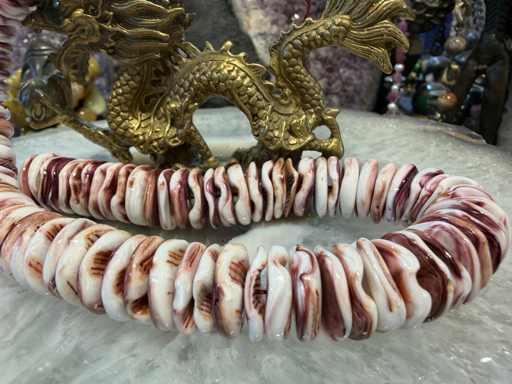 Amazing Lion paw 18mm natural shell beads