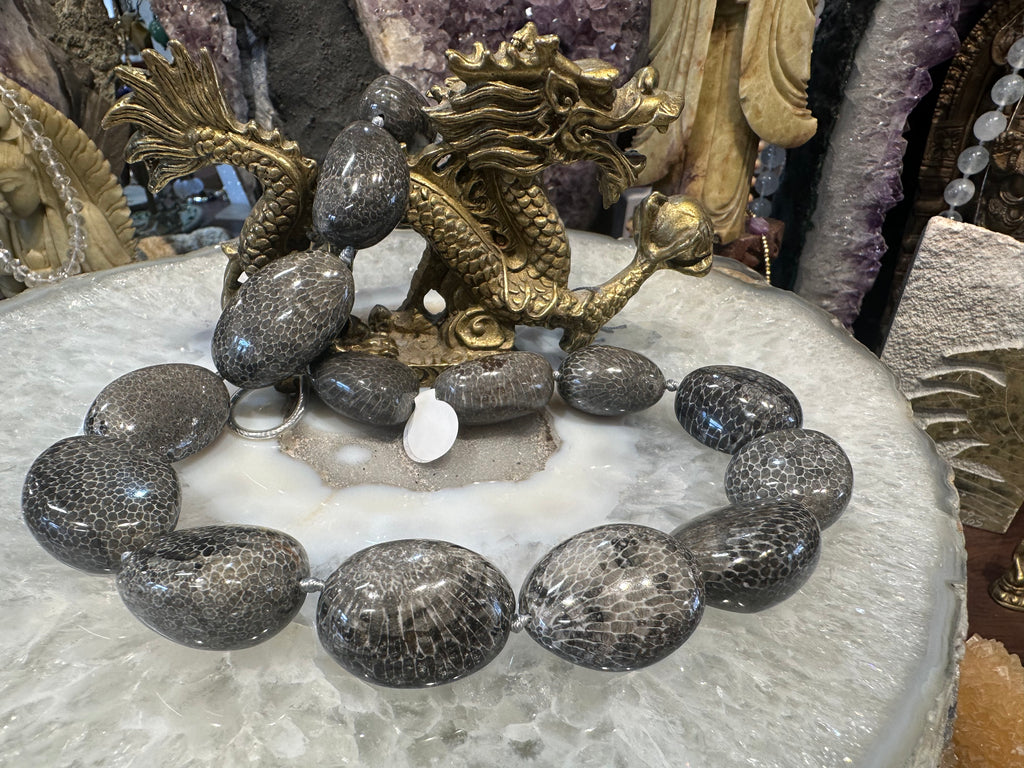 Bryzoan fossil coral 24-27mm tumble