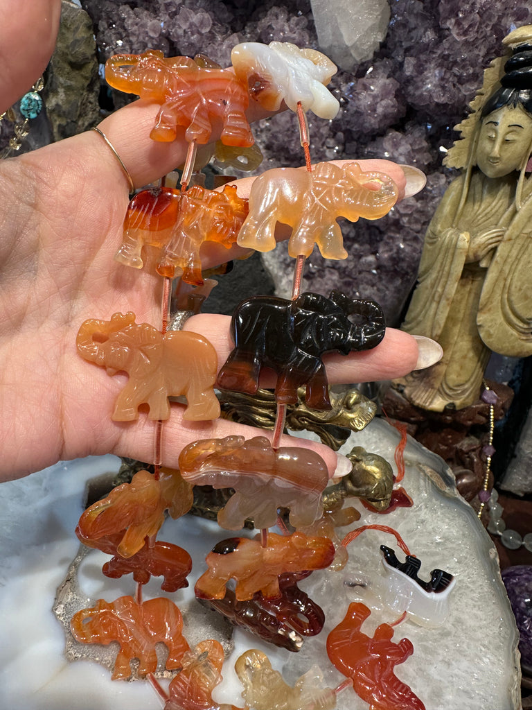 Superb carnelian elephant carving gemstone