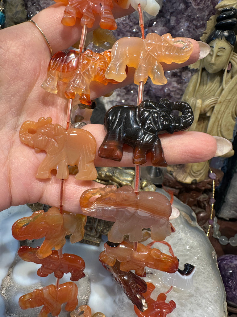 Superb carnelian elephant carving gemstone