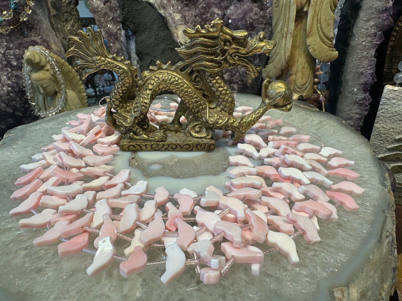 Beautiful Queen pink conch fetish birds