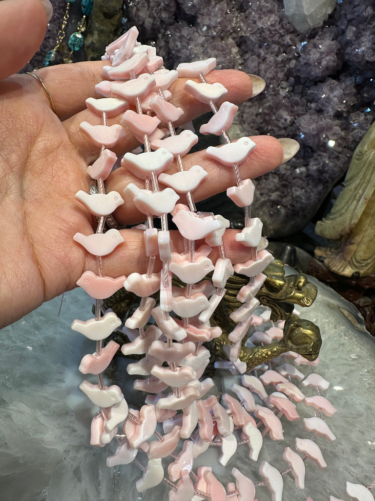 Beautiful Queen pink conch fetish birds