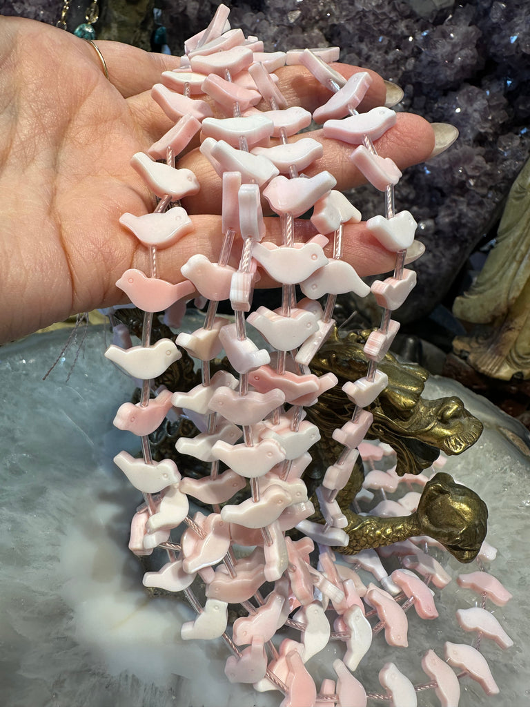 Beautiful Queen pink conch fetish birds