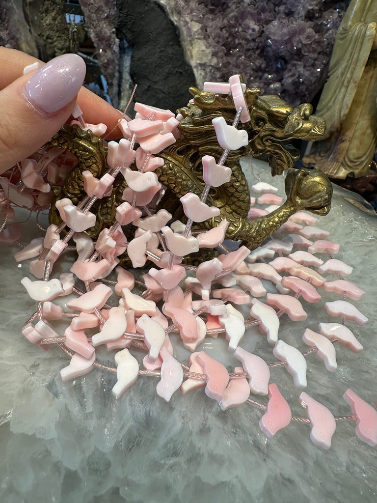 Beautiful Queen pink conch fetish birds