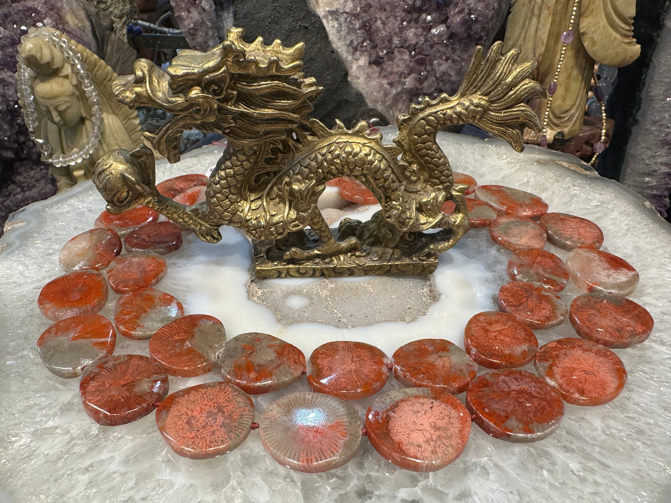 Superb red horn fossil coral 22-25mm