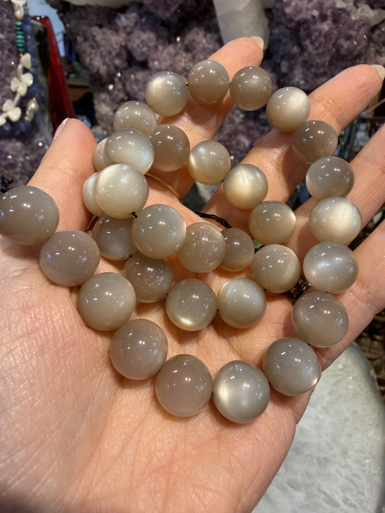 12mm Champagne Taupe Moonstone gemstone beads