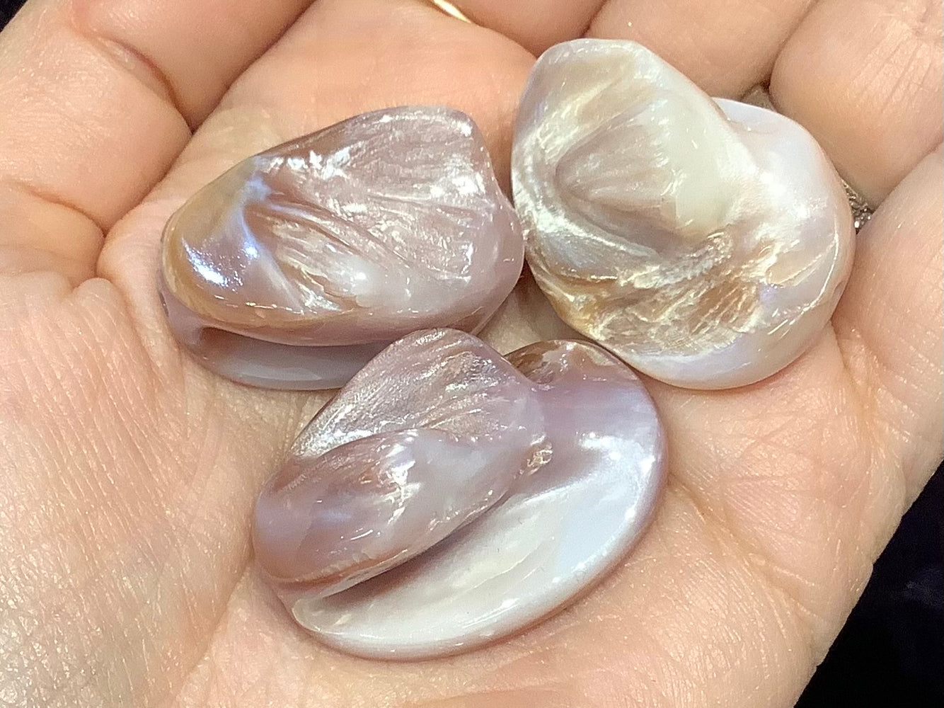 3 Large Natural pink conch 27-29mm shell focal beads