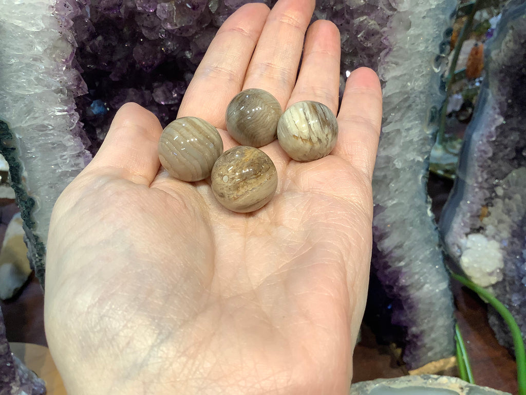 4 Petrified wood fossil 18mm gemstone focal beads #1