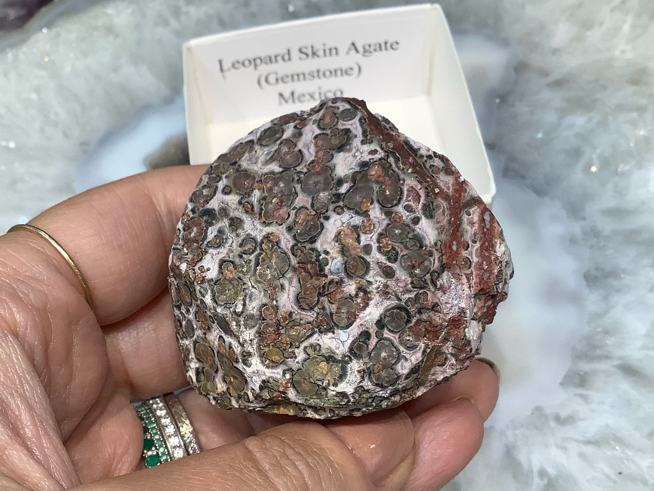 Natural Leopard Skin Agate Gemstone Specimen - Mexico